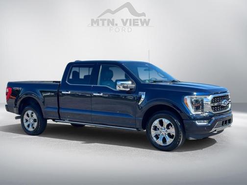 2022 Ford F-150 Platinum