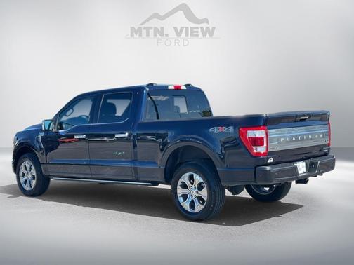 2022 Ford F-150 Platinum