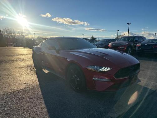 2023 Ford Mustang EcoBoost