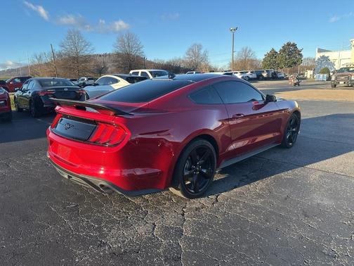 2023 Ford Mustang EcoBoost