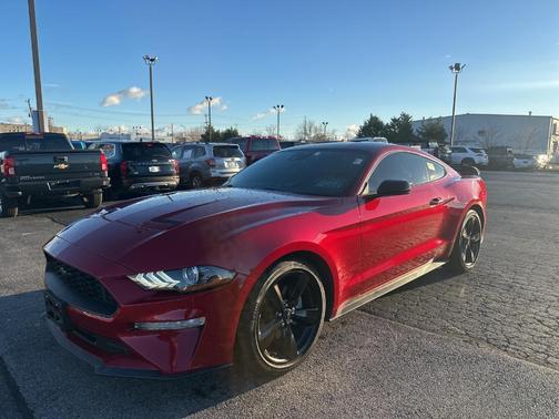 2023 Ford Mustang EcoBoost