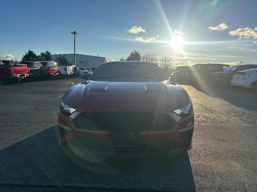 2023 Ford Mustang EcoBoost