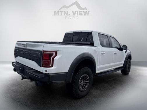 2020 Ford F-150 Raptor