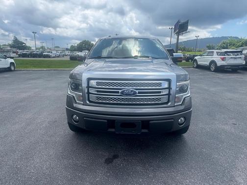 2013 Ford F-150 Platinum