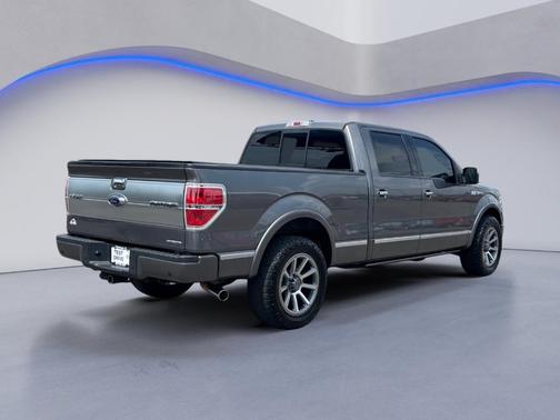 2013 Ford F-150 Platinum