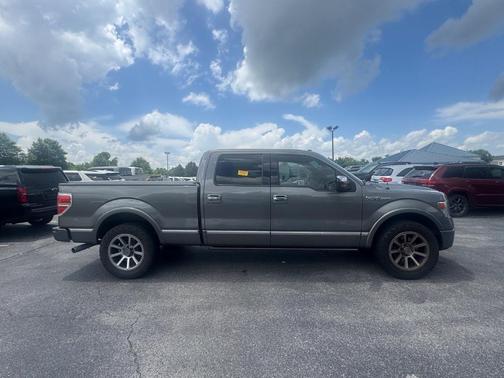 2013 Ford F-150 Platinum