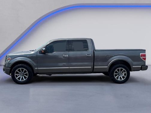 2013 Ford F-150 Platinum