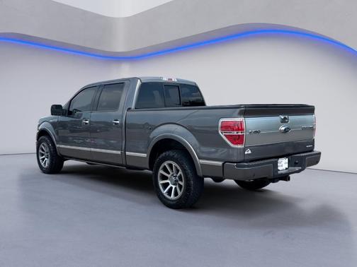 2013 Ford F-150 Platinum