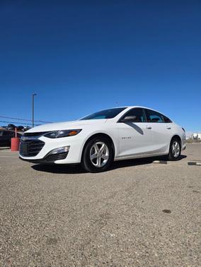 2024 Chevrolet Malibu 1LS