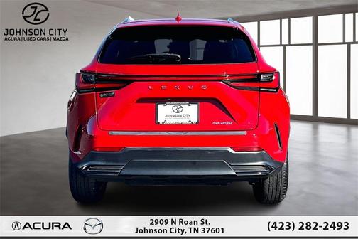 2024 Lexus NX 250 Premium