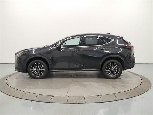 2024 Lexus NX 350h Premium