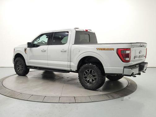 AVALANCHE 2023 Ford F-150 Tremor