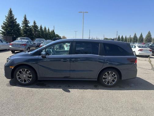 Smoke Blue Pearl 2026 Honda Odyssey Touring