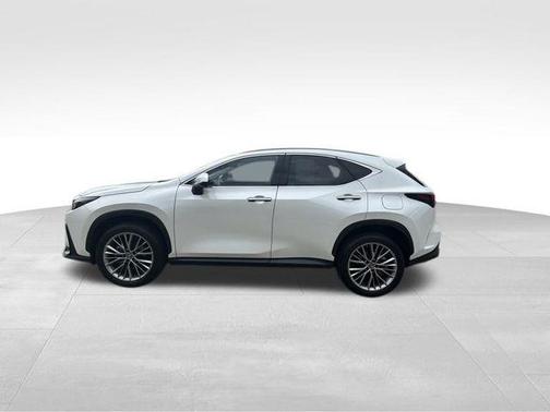 2022 Lexus NX 350 Premium