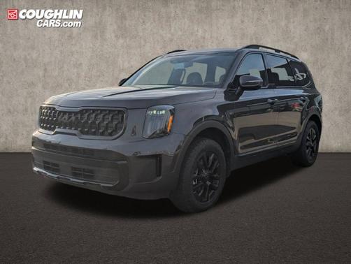 Metal 2025 Kia Telluride EX