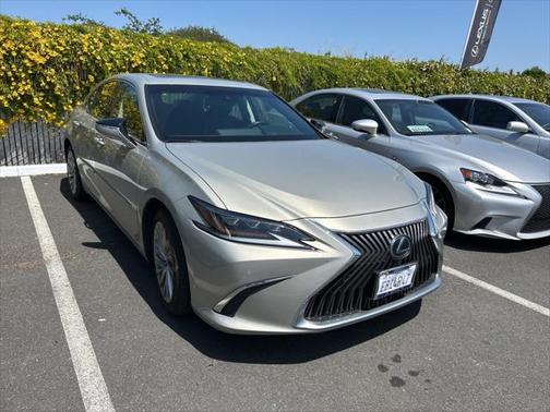 2021 Lexus ES 300h Luxury