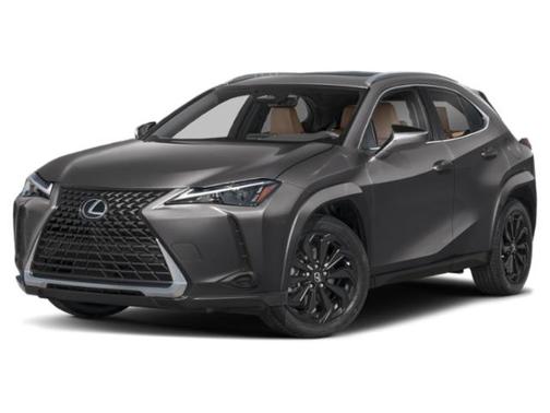 2025 Lexus UX 300h Premium
