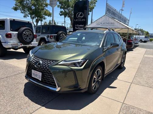 2025 Lexus UX 300h Premium