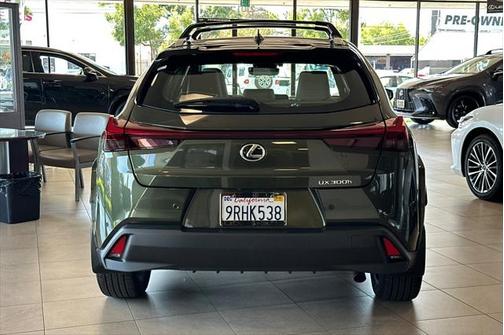 2025 Lexus UX 300h Premium