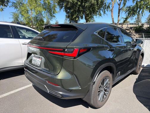Nori Green Pearl 2025 Lexus NX 250 Premium