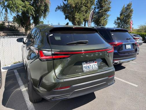 Nori Green Pearl 2025 Lexus NX 250 Premium