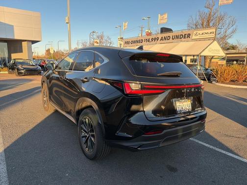 2023 Lexus NX 350h AWD