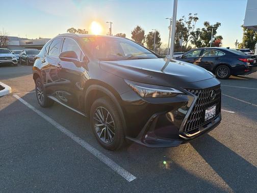 2023 Lexus NX 350h AWD