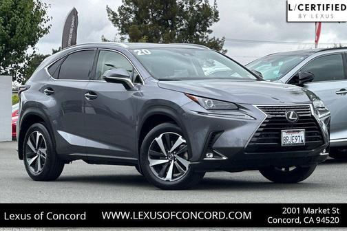 Nebula Gray Pearl 2020 Lexus NX 300 Base