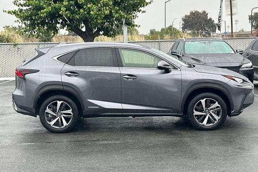 Nebula Gray Pearl 2020 Lexus NX 300h Base