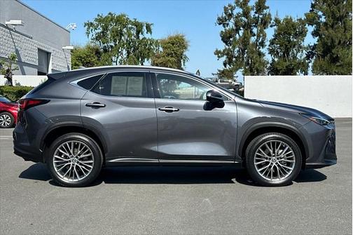 2023 Lexus NX 350 Luxury
