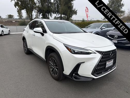 2025 Lexus NX 250 Premium