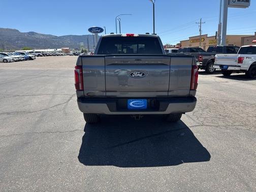 CARBONIZED GRAY METALLIC 2025 Ford F-150 PLATINUM