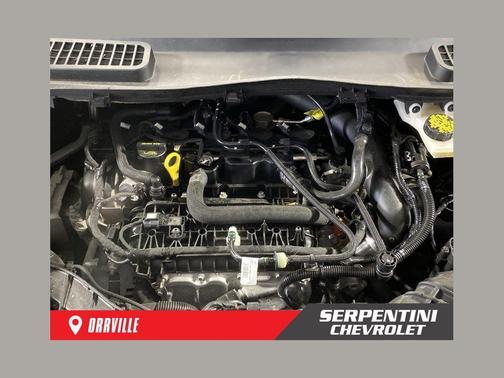 Magnetic 2019 Ford Escape SE