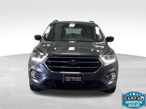 Magnetic 2019 Ford Escape SE