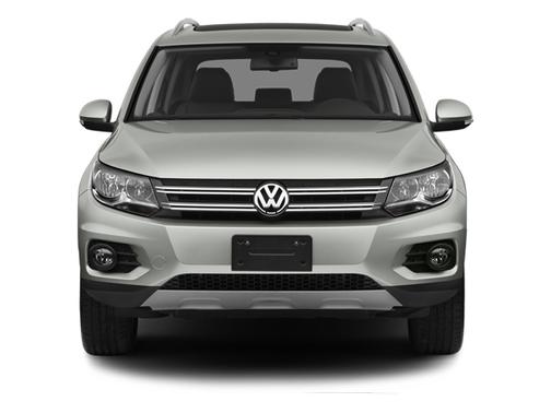 White Gold Metallic 2013 Volkswagen Tiguan SEL