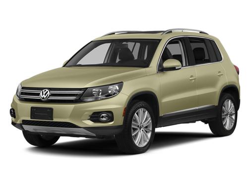 White Gold Metallic 2013 Volkswagen Tiguan SEL