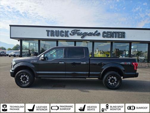 2015 Ford F-150 Platinum
