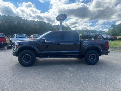 Agate Black Metallic 2025 Ford F-150 Raptor