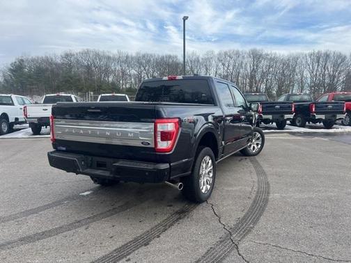 2022 Ford F-150 Platinum