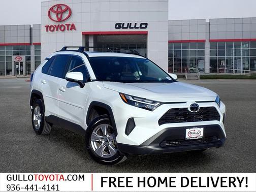 Ice Cap 2025 Toyota RAV4 XLE