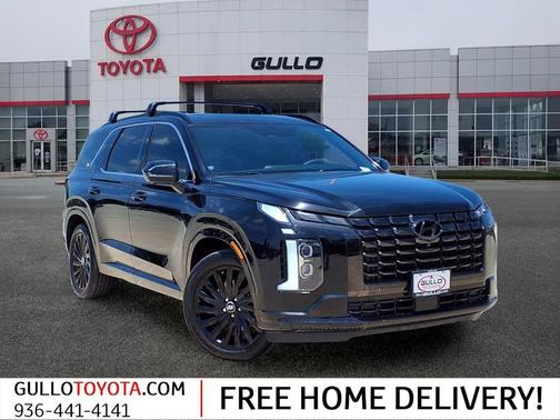 Abyss Black Pearl 2024 Hyundai PALISADE Calligraphy Night Edition
