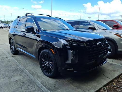 Abyss Black Pearl 2024 Hyundai PALISADE Calligraphy Night Edition