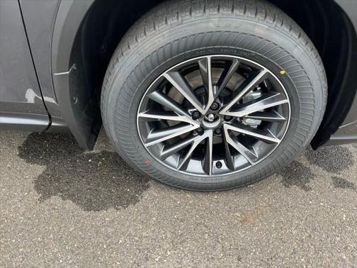 2025 Lexus NX 350h Luxury