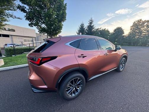 2025 Lexus NX 350 Premium