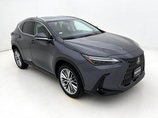 2024 Lexus NX 350 Luxury
