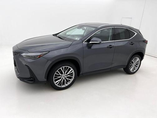 2024 Lexus NX 350 Luxury