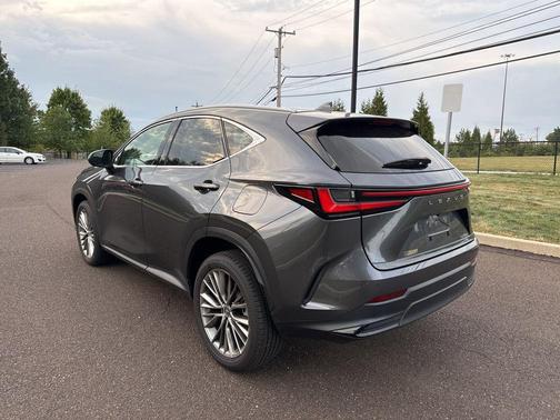 2024 Lexus NX 350 Luxury