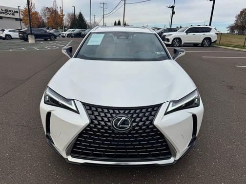 2025 Lexus UX 300h Premium