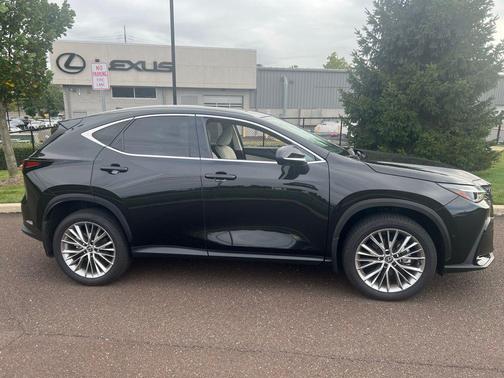 2025 Lexus NX 350 Luxury