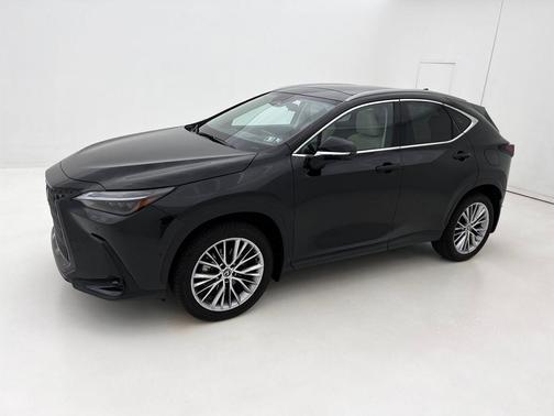 2025 Lexus NX 350 Luxury